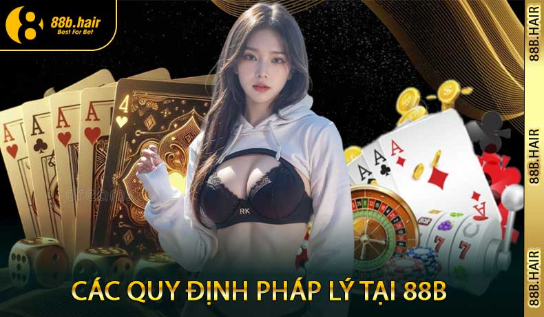 Các quy định pháp lý tại 88B