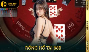 Rồng Hổ tại 88B