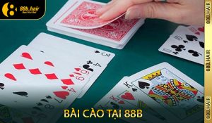 Bài Cào